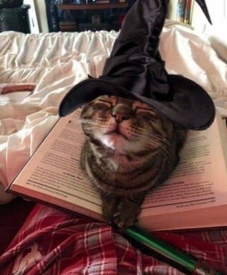 Бажанки від Bookchef