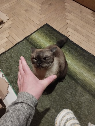 Марс любить Абабу