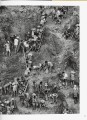 Фото Sebastiao Salgado. Gold 4