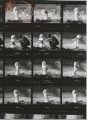 Фото Lawrence Schiller. Marilyn & Me 5