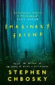 Фото Imaginary Friend 2