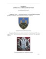 Фото In hoc signo vinces. Історія підрозділів Сухопутних військ Збройних Сил України в знаках і символах 19