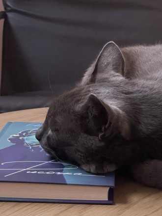 Мої найбажаніші 📚