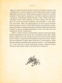 Фото Ундина 12