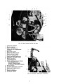 Фото 40-мм автоматична гармата L/70 на причіпному лафеті 5