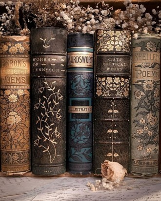 Книжкові бажаночки