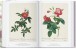 Фото Redouté. The Book of Flowers 5