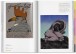 Фото The Illustrator. 100 Best from Around the World 5