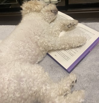 Мої бажанки💔📚