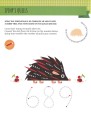 Фото My First Book of Woodland Animals: Montessori Activity Book 2
