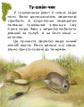 Фото Читаю про Україну. Тварини степів 2