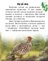 Фото Читаю про Україну. Тварини степів 3