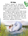 Фото Читаю про Україну. Тварини річок та морів 7