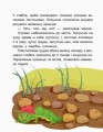 Фото Казки-хвилинки. Чарівний Липунчик. Читаємо 5 хвилин. 1-й рівень складності 4