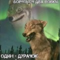 Дарина