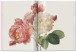 Фото Pierre-Joseph Redouté. Roses. The Complete Plates 1817-1824 3