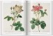 Фото Pierre-Joseph Redouté. Roses. The Complete Plates 1817-1824 4