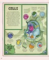 Фото Explore. A Collection of Maps and Diagrams That Explain the World 5