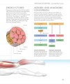 Фото Science of Swimming. Transform Your Stroke, Improve Strength, Revolutionize Your Training 5