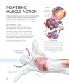 Фото Science of Swimming. Transform Your Stroke, Improve Strength, Revolutionize Your Training 6
