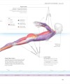 Фото Science of Swimming. Transform Your Stroke, Improve Strength, Revolutionize Your Training 8