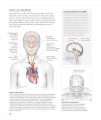 Фото Science of Yoga. Understand the Anatomy and Physiology to Perfect Your Practice 6