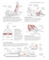 Фото Science of Yoga. Understand the Anatomy and Physiology to Perfect Your Practice 8