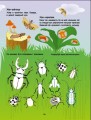 Фото Зелена книжка про комашок 7