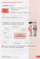 Фото Українська мова та читання. 4 клас. Робочий зошит до підручника Іщенко О. Л., Іщенко А. Ю. Частина 1 2
