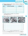 Фото Німецька мова. 6 клас. Робочий зошит до підручника Deutsch mit Trueffel! (6-й рік навчання) 3