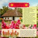 Фото Патріотична скарбничка. Український побут 3