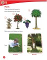 Фото Macmillan Science 2 Student's Book & eBook 2