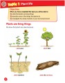 Фото Macmillan Science 2 Student's Book & eBook 5