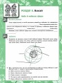 Фото Мої відкриття. 5 клас. Робочий зошит з природознавства 4
