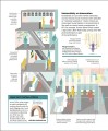 Фото How Art Works 5