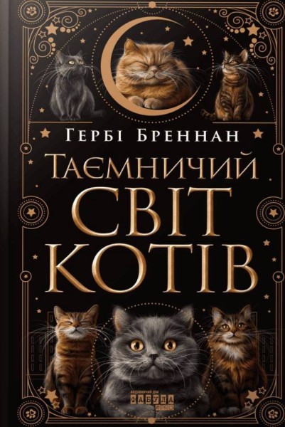 Фото Таємничий світ котів