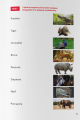 Фото The Jungle Book (A1) 3