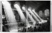 Фото Portrait of a City. New York 3