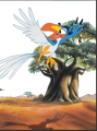 Фото J'apprends a lire avec les grands classiques Disney. Le roi lion (CP 1) 3